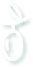 陕西冬枣体系